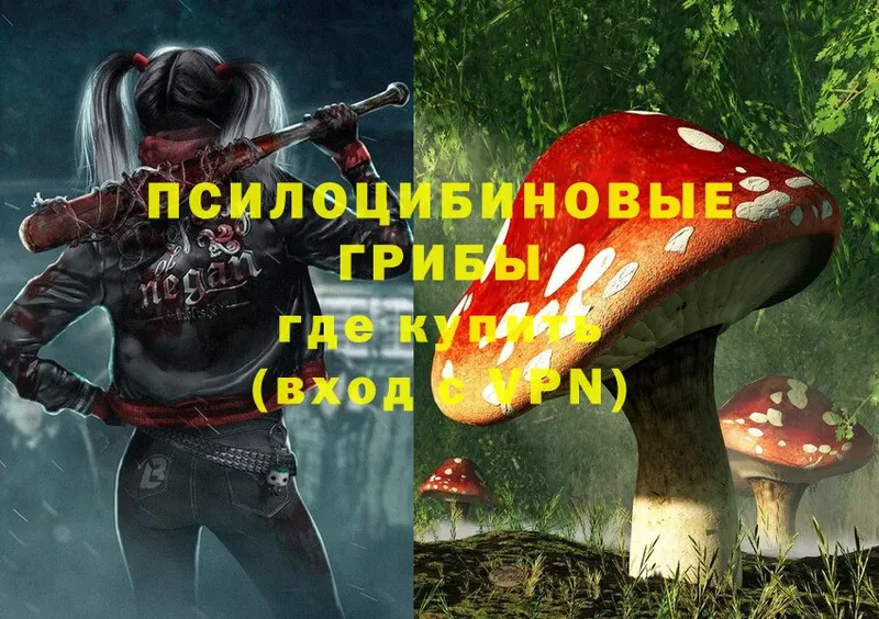 Псилоцибиновые грибы MAGIC MUSHROOMS  это состав  Лысьва 